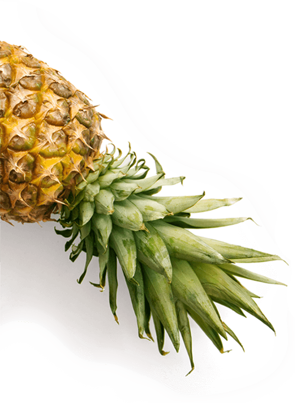 lazy loaded pineapple